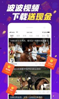 啵波视频,揭秘短视频时代的魅力与挑战