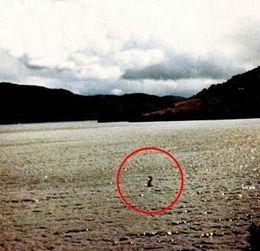 青海湖水怪之谜视频